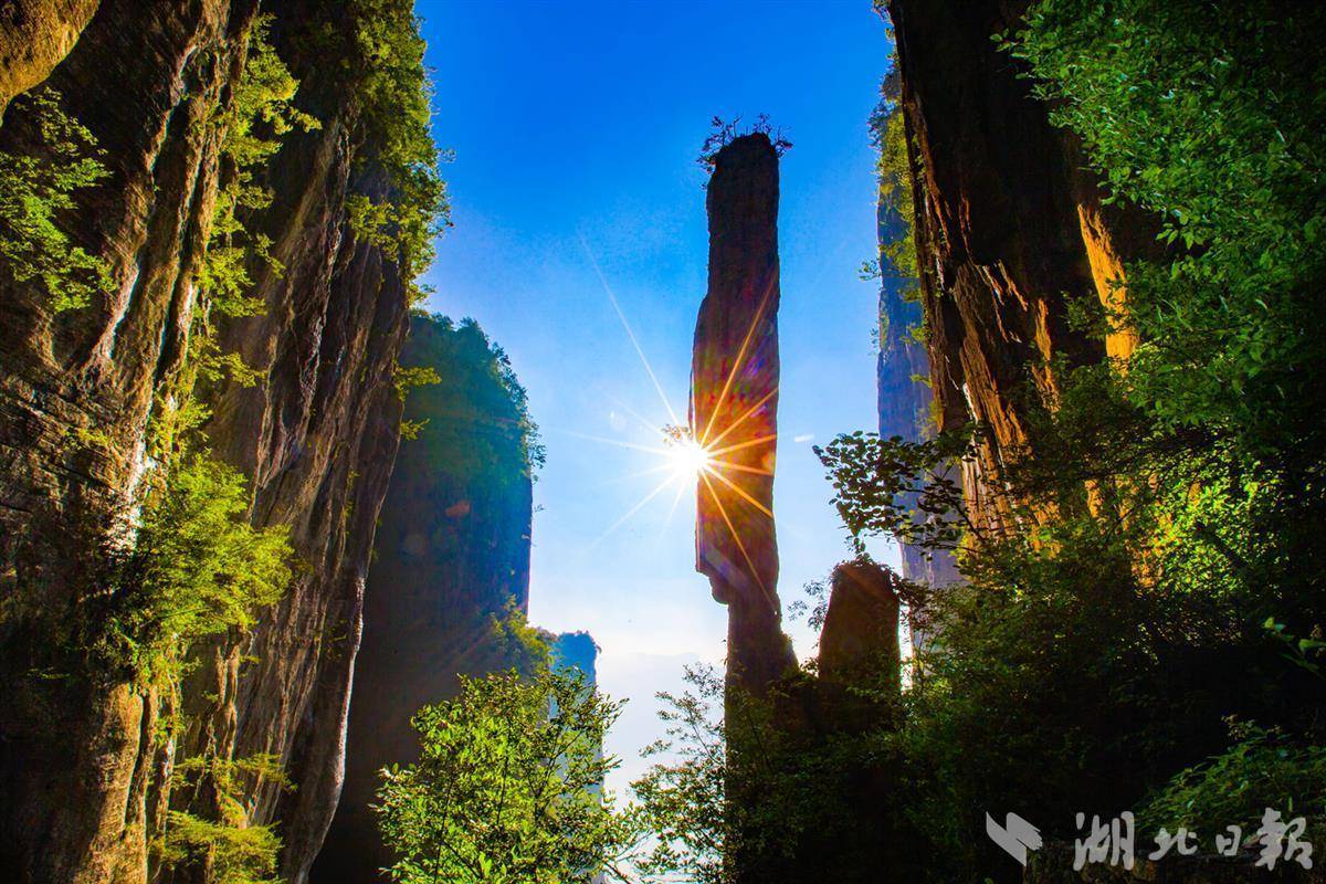 阳光破密大盗软件